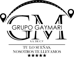 grupogaymarituagenciadeviajes.com favicon